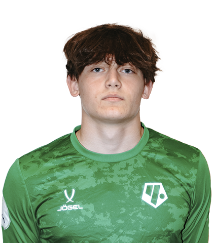 Мельников